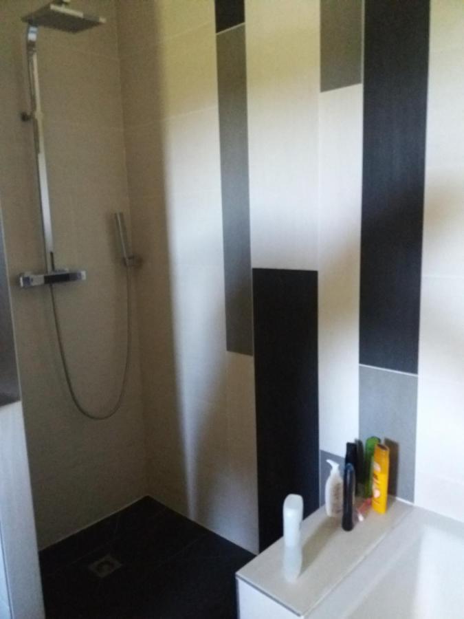 Chambres, Cuisine, Piscine, Spa, Billards, Airhockey, Nature Fillinges Eksteriør bilde