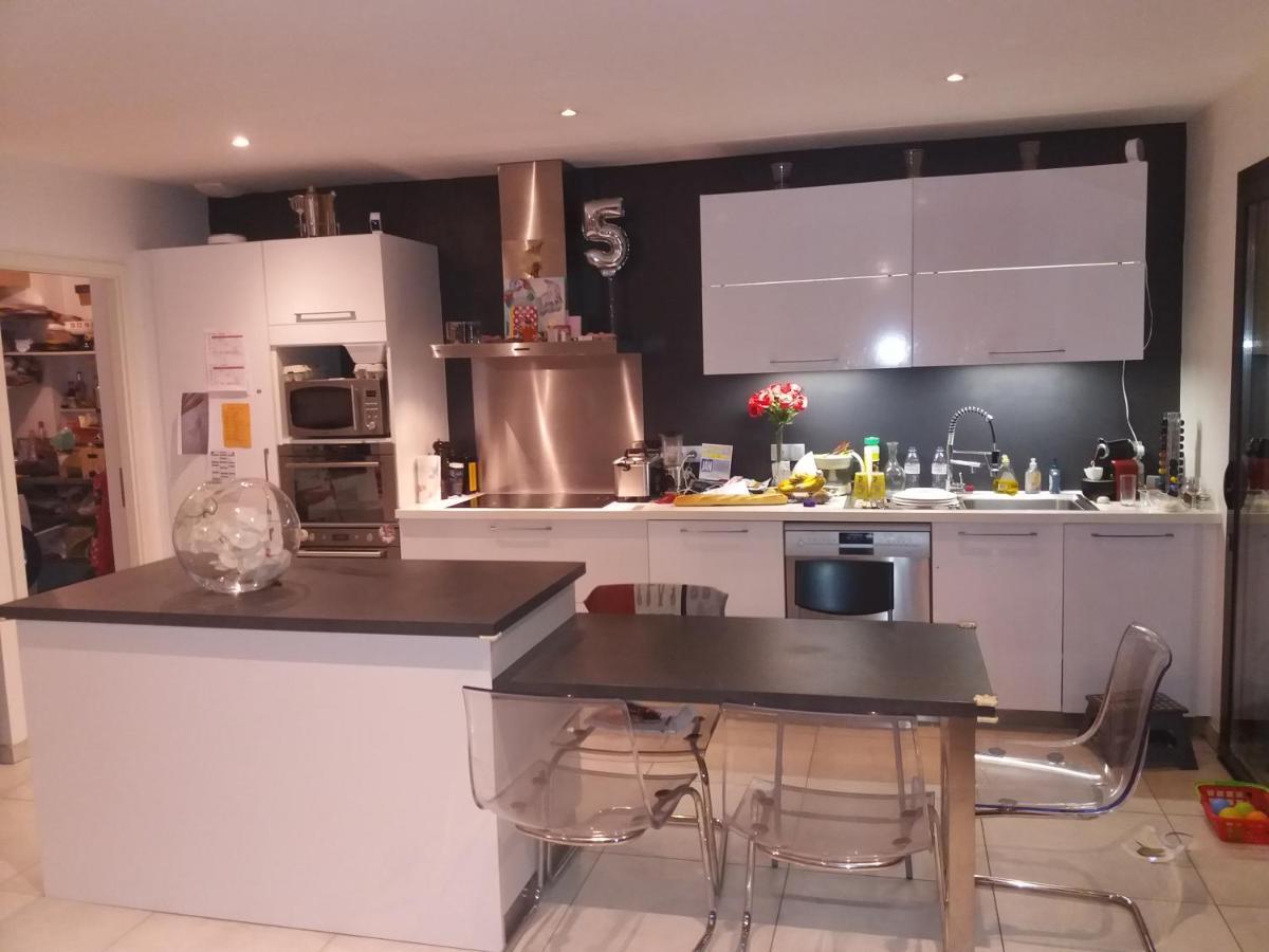 Chambres, Cuisine, Piscine, Spa, Billards, Airhockey, Nature Fillinges Eksteriør bilde