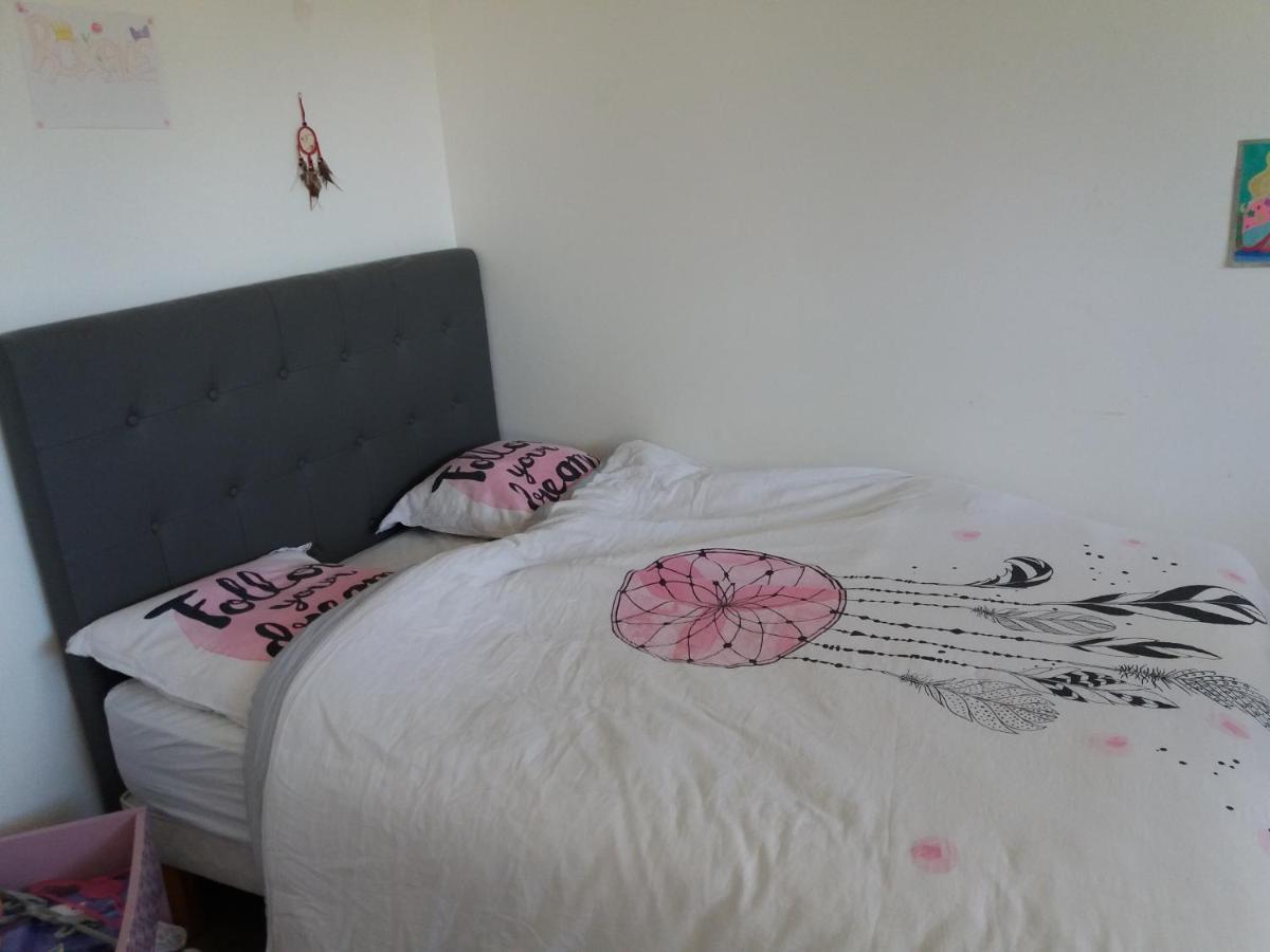 Chambres, Cuisine, Piscine, Spa, Billards, Airhockey, Nature Fillinges Eksteriør bilde