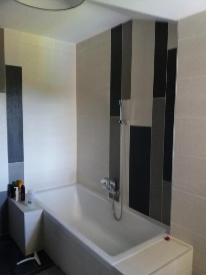 Chambres, Cuisine, Piscine, Spa, Billards, Airhockey, Nature Fillinges Eksteriør bilde